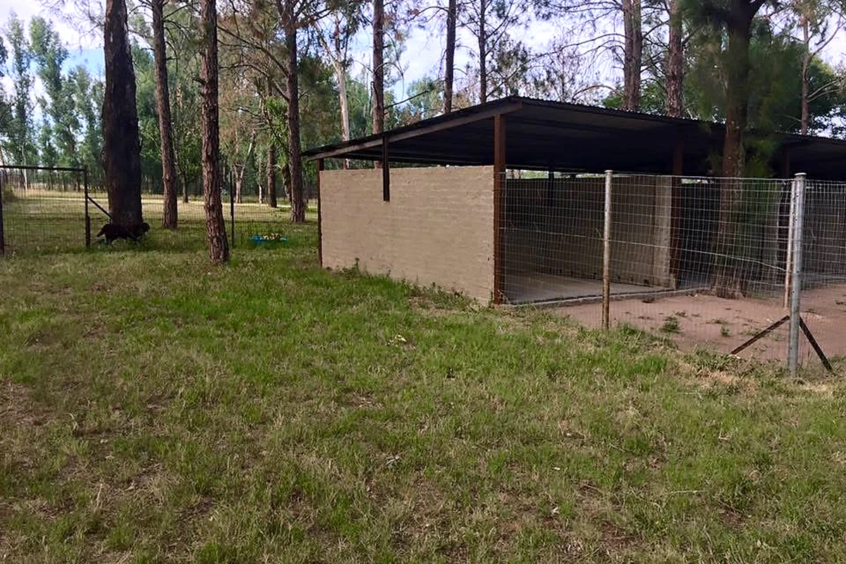Kennel building and grounds on the A Floor of Dogs property
