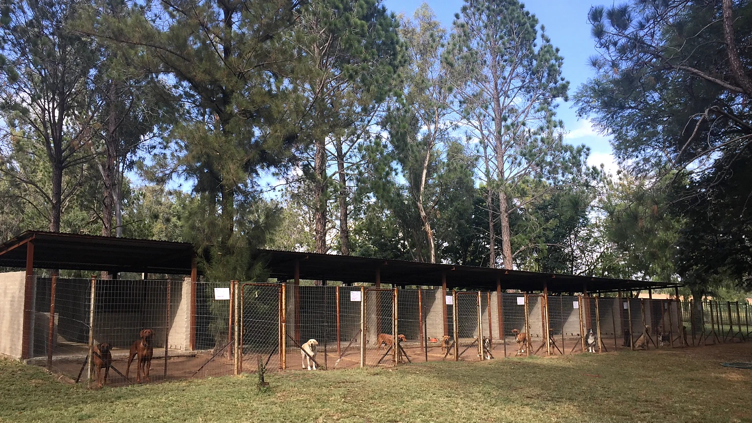 Wide property view of the A Floor of Dogs boarding grounds
