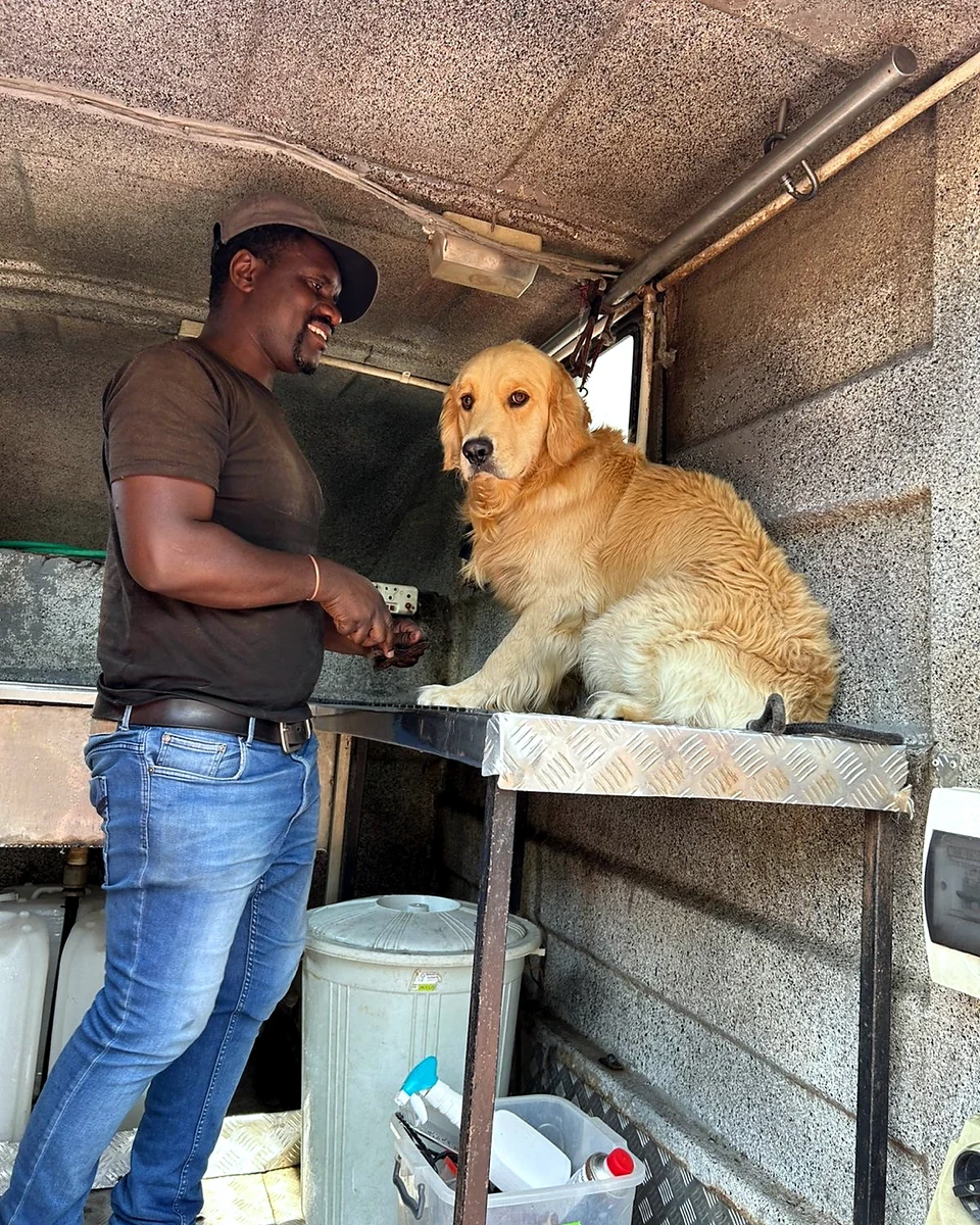 Vule grooming a dog during a mobile appointment