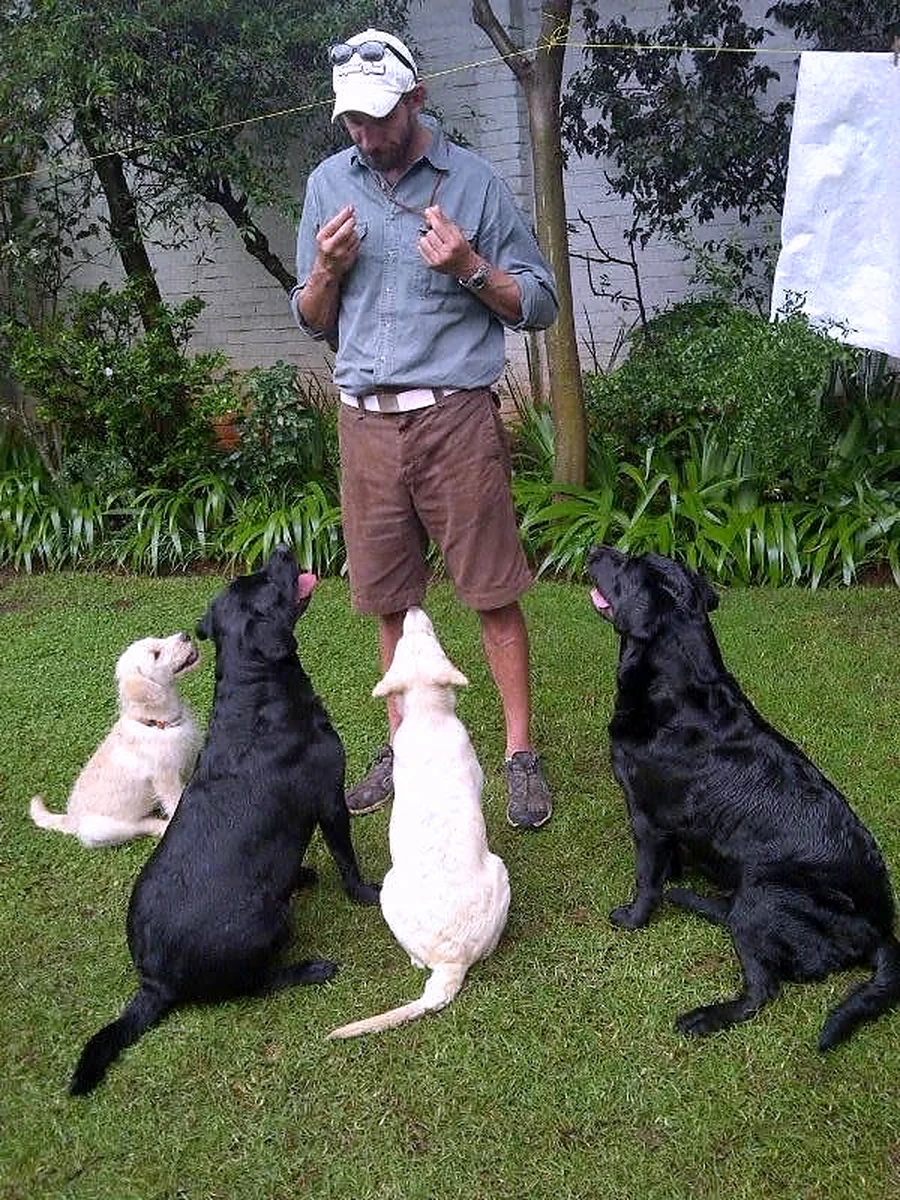 Gareth working with four dogs during a training session